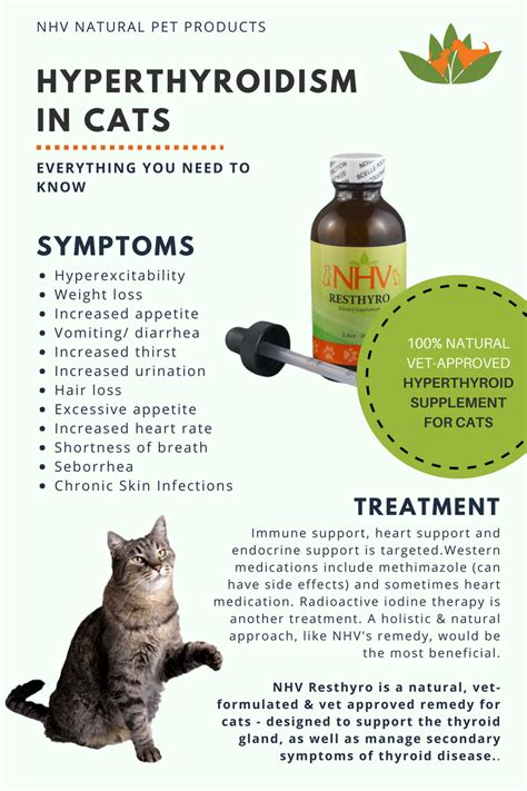 Another less common factor is heredity. Resthyro™ for Cats | Feline hyperthyroidism, Cat care tips ...