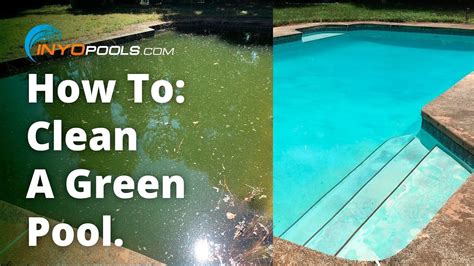 How To Clean A Green Pool Green Pool Water Swimming Pools Pool Cleaning Tips