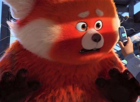 Disney Pixar Movies Disney Xd Red Pandas Dragon Ball Movie Tv