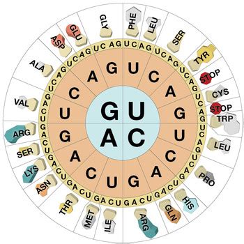 La Brújula de la Ciencia s01e17 Los genes y el código genético La