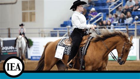 Wednesday Workforce Interscholastic Equestrian Association Seeks