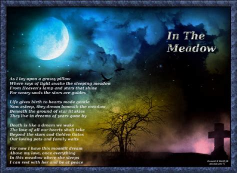 In The Meadow Poem By Donald R Wolff Jr Poem Hunter