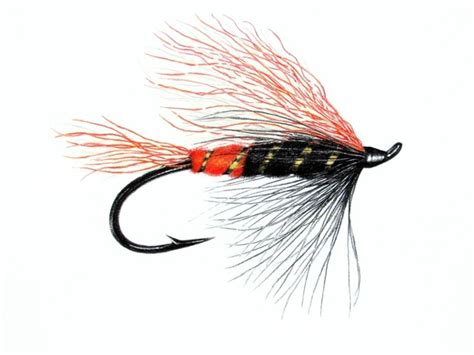 Fly fishing tips trout fishing bass fishing fishing knots fishing basics fishing stuff fly casting fish drawings realistic drawings. Max Canyon steelhead and salmon pattern - Fly Fishing Gear ...