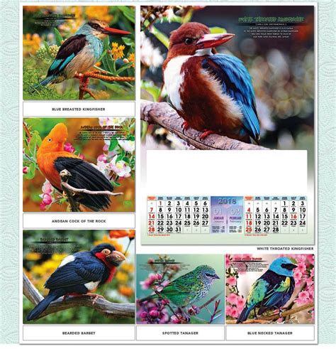 Kalender Dinding 2018 Full Design Standard Burung Cantik Ao 28