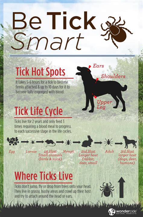 Infographic Natural Tick Prevention For Dogs Wondercide