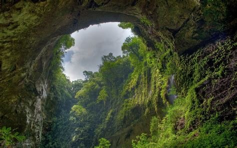 2560x1600 Nature Landscape Cave Forest Overcast Trees Wallpaper
