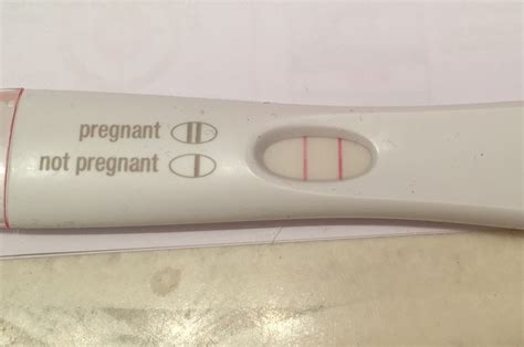 What Does A Positive Pregnancy Test Really Look Like Page 5 — The Bump