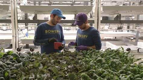 This High Tech Farmer Grows Kale In A Factory YouTube