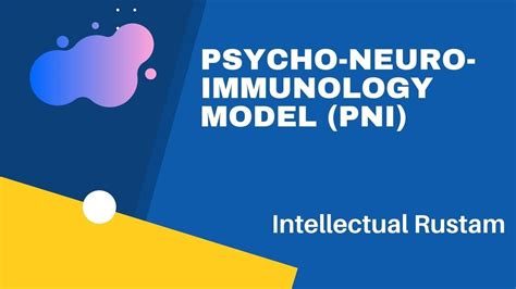 Psychoneuroimmunology Model Pni Youtube