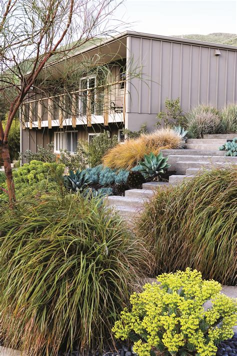 10 Favorite Ornamental Grasses - Sunset Magazine