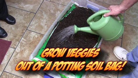 Growing Veggetables Straight Out Of A Potting Soil Bag Indoors Or