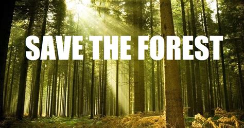 Thoughts To Promote Positive Action Save The Forest