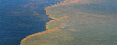 9 Of The Biggest Oil Spills In History Saving Earth Encyclopedia
