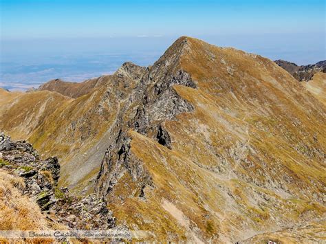 南部。ルーマニア中部を東西に走る。最高峰はモルドヴェアヌ山 (vârful moldoveanu, 2544 m)。トランシルヴァニア高原の南縁をなす。 トランシルヴァニア高原 トランシルヴァニア盆地とも。 Varful Moldoveanu, Fagaras, Munti - Aventura in Romania