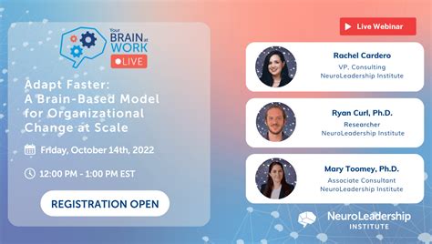 Your Brain At Work Live Adapt Faster A Brain Based Model For