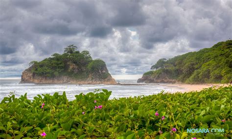 Nosara Beach Costa Rica Travel Nosara Photo