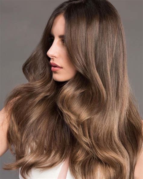 The 25 Best Brown Hair Colors Ideas On Pinterest