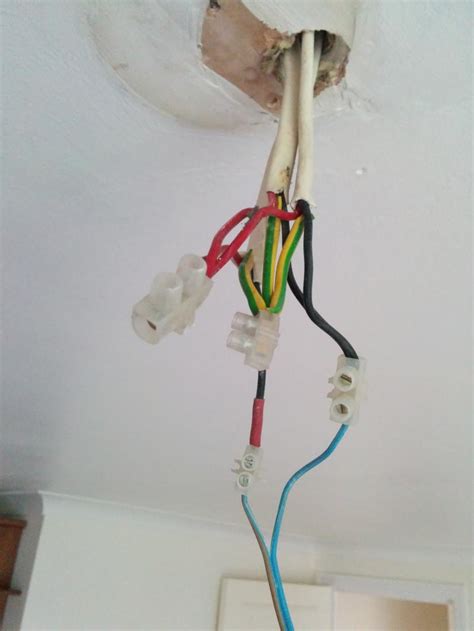 Ceiling Rose Wiring With 5 Cables Shelly Lighting