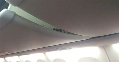 Massive Scorpion Crawls Out Of Overhead Bin Terrifying Passengers