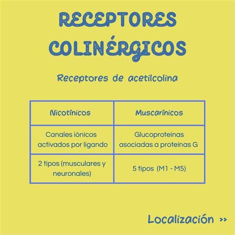 Receptores Colinérgicos Carolina Perez Udocz