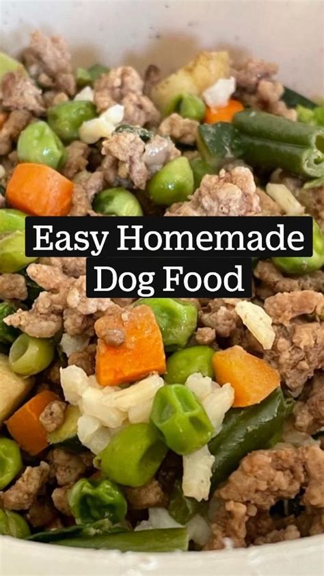 Easy Homemade Dog Food Healthy Pet Recipe Dog Food Recipes Healthy