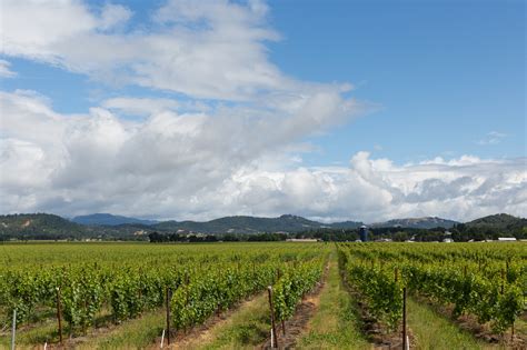 Visit Umpqua Valley Oregon Wine Board