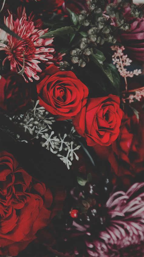 1080 x 1920 png 879 кб. 10 Pretty Red Wallpapers For Your Red iPhone XR | Preppy ...