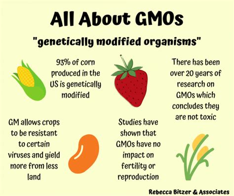 Gmos Are They Safe Rebecca Bitzer And Associates