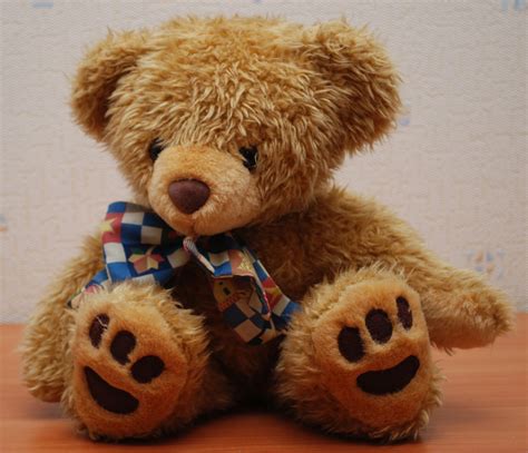 Steve@Tai's Gift Shop™: Teddy Bear