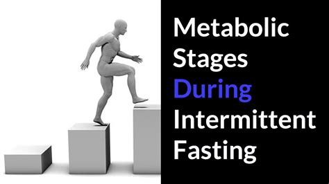 Stages Of Intermittent Fasting Whats Going On In Your Body Youtube
