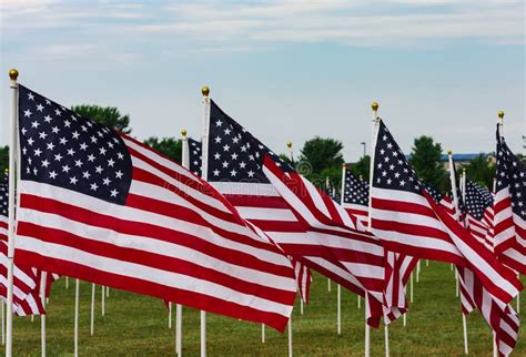 American Field Of Flags On Memorial Day Stock Photo Image Of Stripes