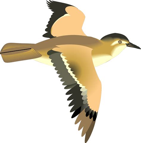 Flying Birds Clip Art Ciij - Animated Flying Bird Png Transparent Png