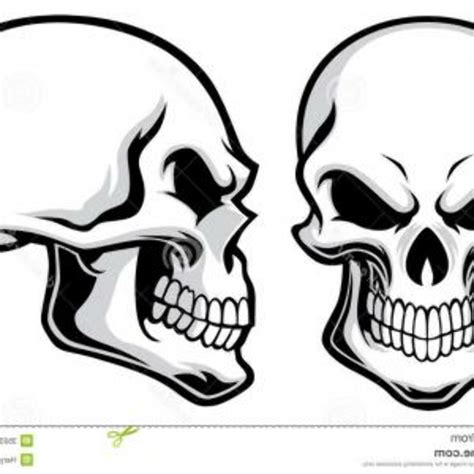 Download High Quality Skull Clipart Side Transparent Png Images Art