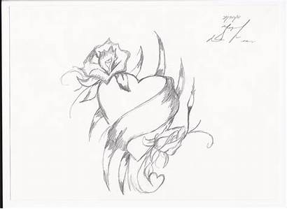 Drawings Pencil Roses Hearts Heart Rose Sketches