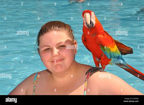 Girl In Pool With A Colorful Parrot On Her Shoulder Stock Photo Alamy
