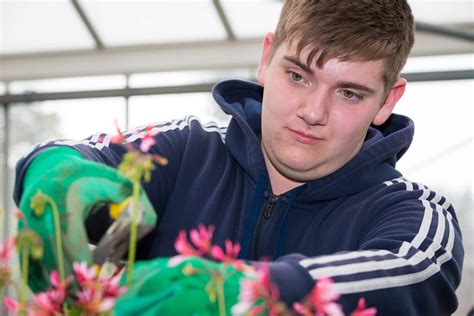 L1 Diploma In Practical Horticulture Skills 1yr