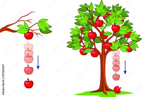 Gravity Falling Apple Isaac Newton Idea Universal Law Fall Red Apple