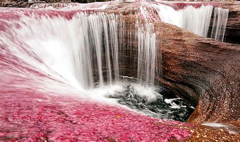 Un Río De Cinco Colores En Colombia Caño Cristales 101 Lugares