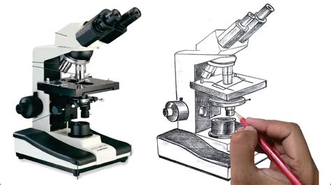 Microscope Drawing Youtube