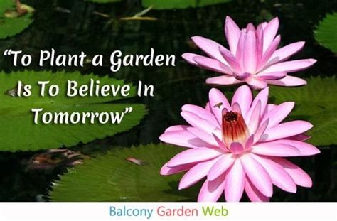 47 Beautiful Garden Quotes Balcony Garden Web