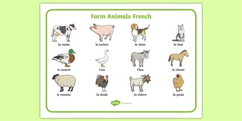 Farm Animals In French Word Mat Lehrer Gemacht Twinkl