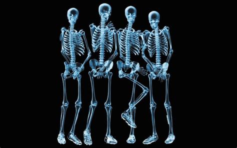 Funny Skeleton X Ray Wallpaper Hd Iq Latino