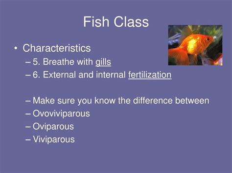 Vertebrates Review May Ppt Download