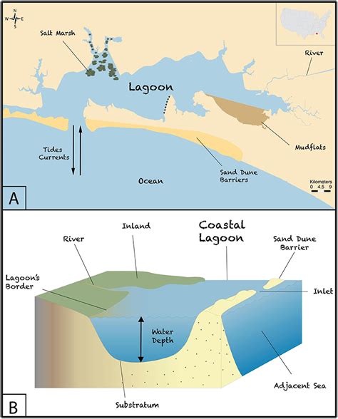 Coastal Lagoons Important Ecosystems · Frontiers For Young Minds
