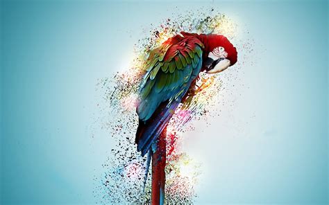 Colorful Bird Art Wallpapers Wallpaper Cave