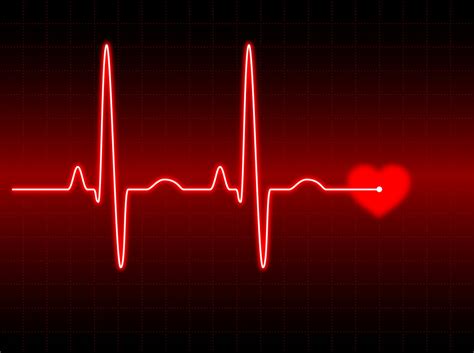 Frecuencia Cardíaca Del Corazón El Ritmo Cardíaco De Las Personas