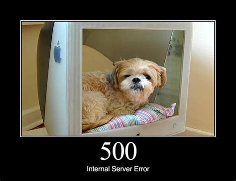 How to stop all error of unfortunately app has stopped on android. Dogs Explain What Different HTTP Status Codes Mean