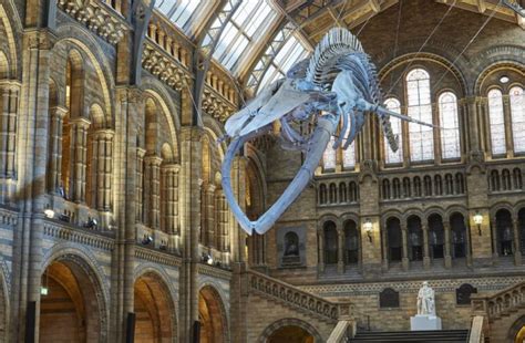 The Best Museums In London You Need To Visit