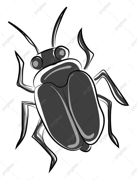 Black Bug Clipart Png Images Black Bug Vector Illustration White