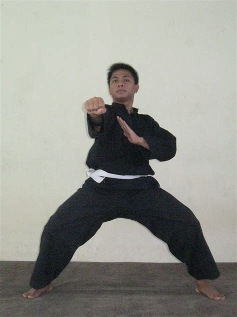 PENCAK SILAT DASAR: TEKNIK DASAR PENCAK SILAT